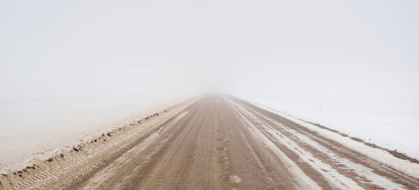 Country road through the snow-covered field during a blizzard. Thick white fog. Lonely trees in the background. Atmospheric winter landscape. Ice desert