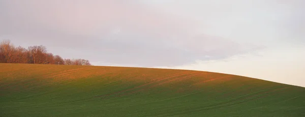 Campo Agrícola Arado Verde Colinas Pôr Sol Árvores Solitárias Floresta — Fotografia de Stock