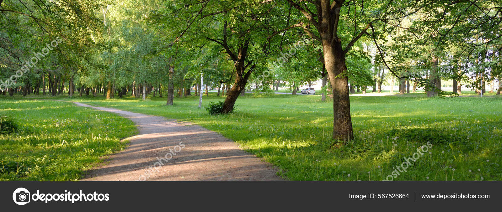 Caminho Estrada Rural Beco Através Parque Florestal Poderosas Árvores  Decíduas — Foto © alex.stemmer #567526664, image size:1600x677