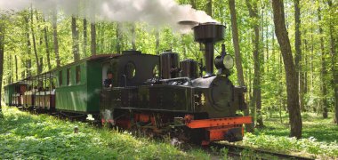 Yaprak döken bir ormanda (halka açık bir parkta) eski bir yeşil tren ve siyah buharlı lokomotif. - Letonya. Dar ölçülü demiryolu, ulusal simgeler, eski ulaşım, tarih, geçmiş, tarihi yeniden canlandırma, yeniden canlandırma