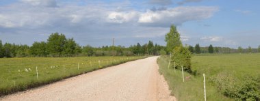 Güneşli bir yaz gününde yeşil tarlalar ve orman boyunca boş bir kırsal yol. Dramatik bir gökyüzü. Arka planda elektrik hattı var. Nida, Litvanya. Doğa, yerel turizm, uzak yerler, lojistik