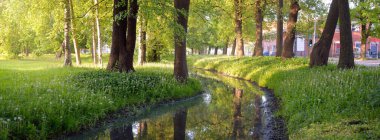Orman parkındaki küçük nehir (kanal). Güçlü yeşil yapraklı ağaçlar, kır çiçekleri, bitkiler. Altın güneş ışığı. Idyllic yaz manzarası. Doğa, ekoloji. Eko-turizm, yürüyüş. Bisiklet, kuzey yürüyüşü