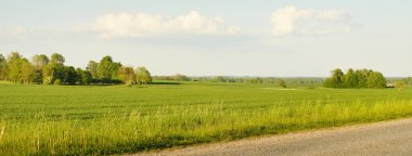Güneşli bir günde yeşil tarlalarda ve ormanlarda araba sürmek. Açık mavi gökyüzü. Idyllic kırsal alanı, konsept manzarası. Doğa, uzak yerler, lojistik, yaz tatili, yol gezisi