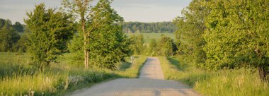 Güneşli bir günde yeşil tarlalarda ve ormanlarda araba sürmek. Açık mavi gökyüzü. Idyllic kırsal alanı, konsept manzarası. Doğa, uzak yerler, lojistik, yaz tatili, yol gezisi