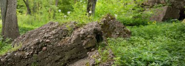Yeşil yaz ormanının ortasında terk edilmiş eski bir askeri sığınak (muhafız kulübesi). Avrupa. Şehir simgeleri, mimari. Tarih, geçmiş, savaş, çatışma, takviye, koruma. Panoramik görünüm