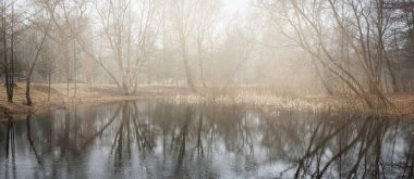 Gün batımında orman gölü (nehir) panoramik manzarası. Yumuşak güneş ışığı, berrak gökyüzü, suyun yansımaları, doğal ayna. Huş ağaçları. Baharın başında. İdealist pastoral manzara. Doğa, çevre, ekoloji