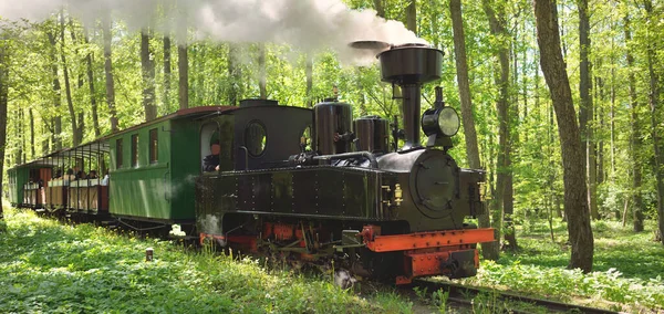 Yaprak döken bir ormanda (halka açık bir parkta) eski bir yeşil tren ve siyah buharlı lokomotif. - Letonya. Dar ölçülü demiryolu, ulusal simgeler, eski ulaşım, tarih, geçmiş, tarihi yeniden canlandırma, yeniden canlandırma