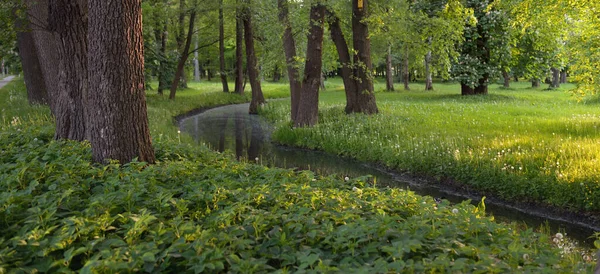 Malá Řeka Kanál Lesoparku Mohutné Zelené Opadavé Stromy Divoké Květiny — Stock fotografie