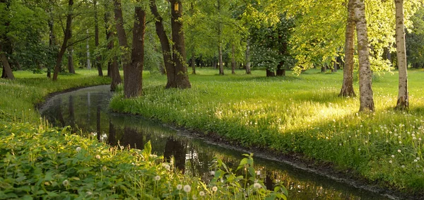 Pequeno Rio Canal Parque Florestal Poderosas Árvores Decíduas Verdes Flores — Fotografia de Stock