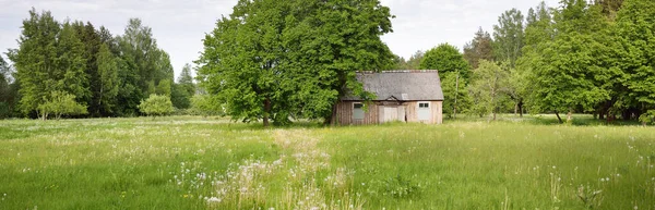 Grönt Fält Och Skog Solig Dag Gamla Hus Timmerstuga Bakgrunden — Stockfoto