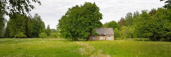 Güneşli bir günde yeşil tarla ve orman. Arka planda eski ev (kütük kulübe). Dramatik bir gökyüzü. Idyllic kırsal kesim. Pastoral manzara. Litvanya. Doğa, ekoloji, eko-turizm, yürüyüş, yerel seyahat