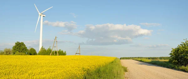 Booming yellow rapeseed field on a clear sunny summer day. View from the car. Wind turbine generators. Nature, ecology, sustainable energy, alternative production, supply, infrastructure, technology