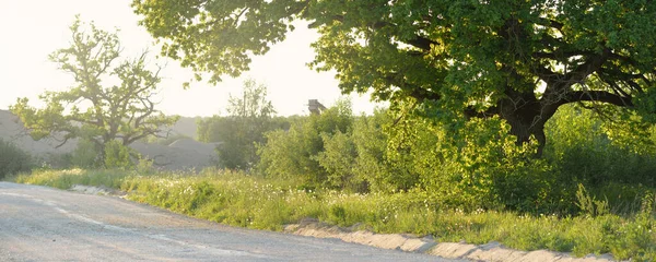 Conduire Une Voiture Travers Les Champs Verdoyants Forêt Coucher Soleil — Photo