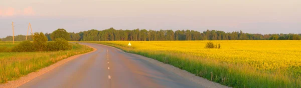 Auto Estrada Através Campo Colza Amarelo Florescente Céu Azul Claro — Fotografia de Stock