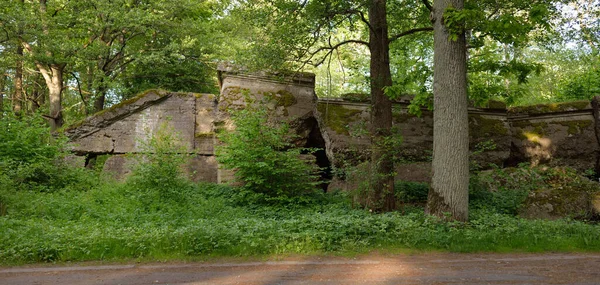 Starý Opuštěný Kamenný Vojenský Vrakoviště Strážní Stanoviště Uprostřed Zeleného Letního — Stock fotografie