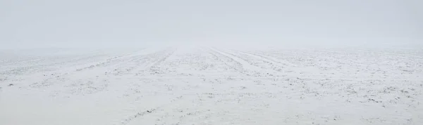 吹雪の後 濃い霧の中でサンディ海の海岸 氷の砂漠 生態系 気候変動 沈黙の概念 大気の風景 — ストック写真