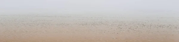 Costa Mar Arenosa Uma Névoa Espessa Depois Uma Nevasca Deserto — Fotografia de Stock