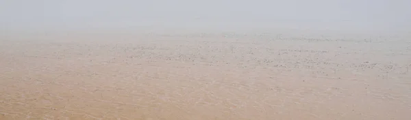Піщаний Берег Моря Густому Тумані Після Хуртовини Льодова Пустеля Природа — стокове фото