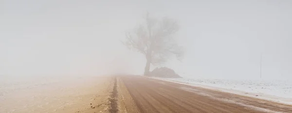 吹雪の中で雪に覆われたフィールドを介してカントリーロード 濃い白い霧 背景には孤独な木 大気の冬の風景 氷の砂漠 — ストック写真