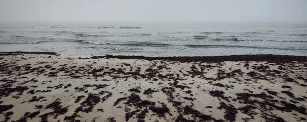 Blick Auf Die Ostsee Vom Sandstrand Aus Dichter Weißer Nebel — Stockfoto