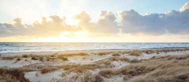 Baltık kıyıları (çöl, plaj) mavi gökyüzünün altında gün batımı bulutları parlıyor. Kum tepeleri ve bitkiler (kum tepeleri, Ammophila). Danimarka. Doğa, çevre koruma, eko-turizm. Resim gibi bir manzara.