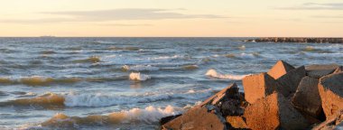 Gün batımında Baltık Denizi. Dramatik gökyüzü, mavi ve pembe parlayan bulutlar, altın güneş ışığı. Dalgalar, su sıçratma. Resimli manzara, deniz manzarası, doğa. Panoramik görünüm