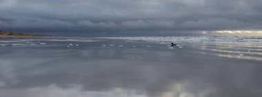 Fırtınadan sonra Baltık Denizi. Yumuşak günbatımı ışığı, çarpıcı parlayan bulutlar. Deniz manzarası, bulutlar, doğa. Sudaki yansımalar. Panoramik manzara. Ekoloji, iklim değişikliği, hava durumu