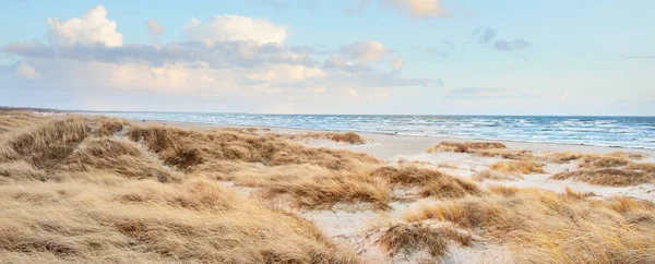 輝く夕日の雲と青い空の下でバルト海の海岸 ビーチ 砂丘と植物 砂丘草 アンモフィラ デンマーク 環境保全 エコツーリズム 絵になる風景 — ストック写真