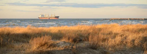 日落时分 波罗的海海岸 娱乐区 柔和的阳光自然 当地旅行 生态旅游 — 图库照片