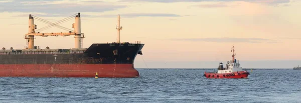 Grande Navio Carga Chegar Porto Pôr Sol Mar Báltico Transporte — Fotografia de Stock