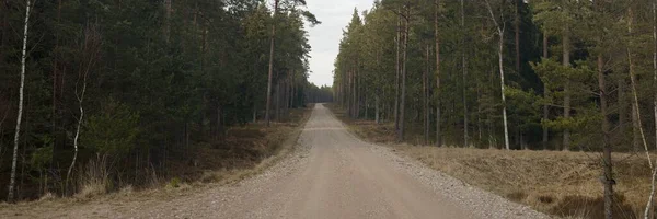 Μονοπάτι Αγροτικός Δρόμος Μέσα Από Μαγευτικό Καταπράσινο Δάσος Πεύκα Και — Φωτογραφία Αρχείου