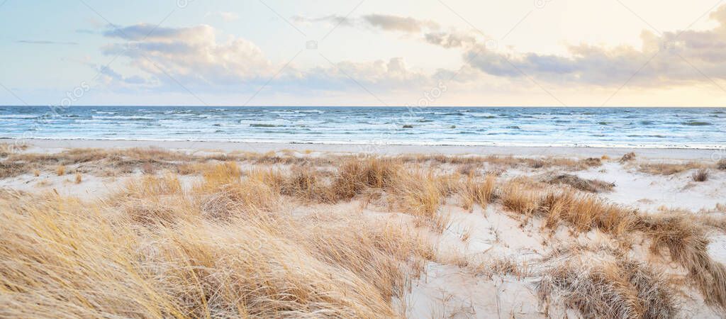 Baltic sea shore (desert, beach) under blue sky with glowing sunset clouds. Sand dunes and plants (dune grass, Ammophila). Denmark. Nature, environmental conservation, ecotourism. Picturesque scenery