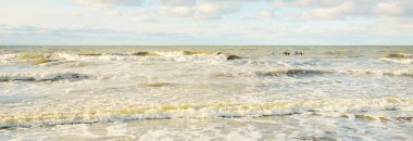 Kumlu bir sahilden (kum tepeleri) Baltık denizinin panoramik görüntüsü. Parlayan bulutlarla, dalgalarla ve su sıçramalarıyla berrak bir gökyüzü. Idyllic deniz manzarası. Sıcak kış havası, iklim değişikliği, doğa