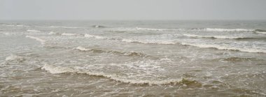 Sis içindeki Baltık Denizi. Dalgalar, su sıçratma, fırtına. Doğal dokular. Resimli panoramik monokrom manzarası, deniz manzarası. Doğa, çevre, sert hava, tehlike