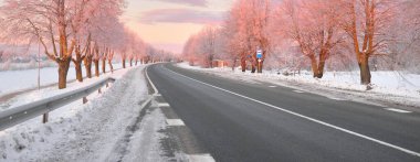 Karla kaplı orman ve kırsal alanda boş otoyol (asfalt yol). Otobüs durağı. Gündoğumu, kar yağışı. Doğa, Noel tatilleri, uzak yerler, kış lastikleri, tehlikeli sürüş konsepti