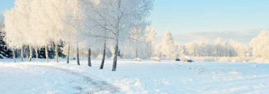 Güneşli bir günde karla kaplı orman parkına giden yol. Güçlü ağaçlar, don, yumuşak güneş ışığı. Kış Harikalar Diyarı. Idyllic manzara. Noel tatilleri, eko turizm, yürüyüş, kayak temaları