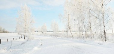 Kırsal alanda, karla kaplı tarlaların içinden geçen köy yolu. Arabadan görüntü. Kar sürükleniyor. Avrupa. Doğa, Noel tatilleri, uzak yerler, kış lastikleri, tehlikeli sürüş konsepti