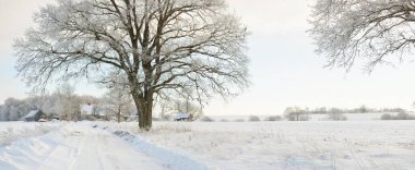 Güneşli bir günde karla kaplı tarlaların ve köyün içinden geçen yol. Arka plandaki kır evleri. Idyllic manzara. Noel tatilleri, eko turizm, yürüyüş, kayak, uzak yerler, off-road teması