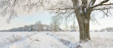 Güneşli bir günde karla kaplı tarlaların ve köyün içinden geçen yol. Arka plandaki kır evleri. Idyllic manzara. Noel tatilleri, eko turizm, yürüyüş, kayak, uzak yerler, off-road teması