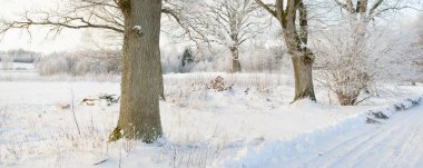 Kırsal alanda, karla kaplı tarlaların içinden geçen köy yolu. Arabadan görüntü. Kar sürükleniyor. Avrupa. Doğa, Noel tatilleri, uzak yerler, kış lastikleri, tehlikeli sürüş konsepti