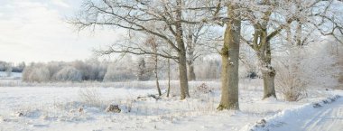 Kırsal alanda, karla kaplı tarlaların içinden geçen köy yolu. Arabadan görüntü. Kar sürükleniyor. Avrupa. Doğa, Noel tatilleri, uzak yerler, kış lastikleri, tehlikeli sürüş konsepti