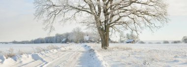 Güneşli bir günde karla kaplı tarlaların ve köyün içinden geçen yol. Arka plandaki kır evleri. Idyllic manzara. Noel tatilleri, eko turizm, yürüyüş, kayak, uzak yerler, off-road teması