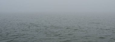 Sis içindeki Baltık Denizi. Dalgalar, su sıçratma, fırtına. Doğal dokular. Resimli panoramik monokrom manzarası, deniz manzarası. Doğa, çevre, sert hava, tehlike