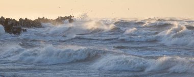 Gün batımında Baltık kıyısı. Yumuşak altın güneş ışığı, parlayan gökyüzü, dalgalar. Idyllic deniz manzarası. Seyahat yerleri, eko turizm, doğa, hava durumu, iklim değişikliği. Resimli panoramik manzara