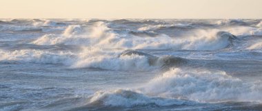 Gün batımında Baltık kıyısı. Yumuşak altın güneş ışığı, parlayan gökyüzü, dalgalar. Idyllic deniz manzarası. Seyahat yerleri, eko turizm, doğa, hava durumu, iklim değişikliği. Resimli panoramik manzara