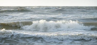 Gün batımında Baltık Denizi. Dramatik gökyüzü, mavi ve pembe parlayan bulutlar, altın güneş ışığı. Dalgalar, su sıçratma. Resimli manzara, deniz manzarası, doğa. Panoramik görünüm,