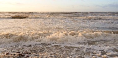 Gün batımında Baltık Denizi. Dramatik gökyüzü, mavi ve pembe parlayan bulutlar, altın güneş ışığı. Dalgalar, su sıçratma. Resimli manzara, deniz manzarası, doğa. Panoramik görünüm,