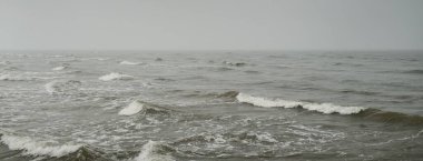 Sis içindeki Baltık Denizi. Dalgalar, su sıçratma, fırtına. Doğal dokular. Resimli panoramik monokrom manzarası, deniz manzarası. Doğa, çevre, sert hava, tehlike