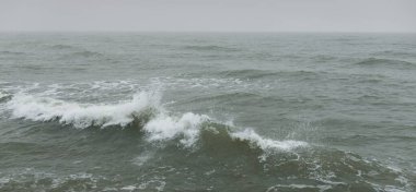 Sis içindeki Baltık Denizi. Dalgalar, su sıçratma, fırtına. Doğal dokular. Resimli panoramik monokrom manzarası, deniz manzarası. Doğa, çevre, sert hava, tehlike