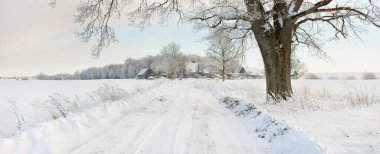 Güneşli bir günde karla kaplı tarlaların ve köyün içinden geçen yol. Arka plandaki kır evleri. Idyllic manzara. Noel tatilleri, eko turizm, yürüyüş, kayak, uzak yerler, off-road teması